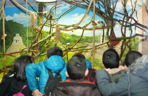 Gölbaşı Belediyesi öğrencileri akvaryuma götürdü