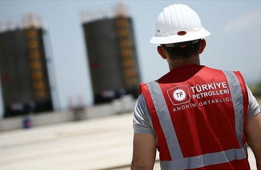 Ahmet Türkoğlu, TPAO Genel Müdürlüğü görevine atandı