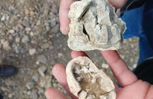 Niğde'de "dinozor fosili" sanılan kalıntılar traverten çıktı!