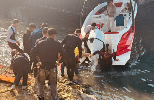 Fırat Nehri'ne atlayan kadını vatandaşlar kurtardı