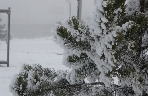 Ardahan eksi 18,6 derece ile buz tuttu