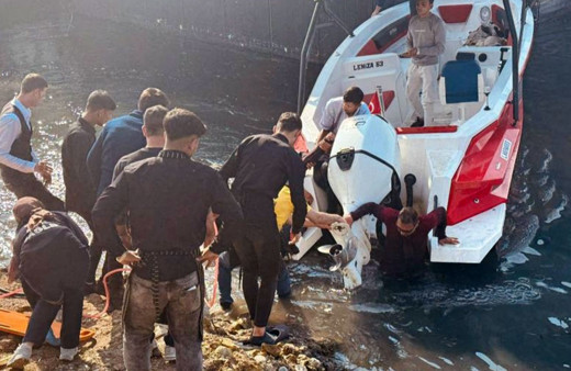 Fırat Nehri'ne atlayan kadını vatandaşlar kurtardı!
