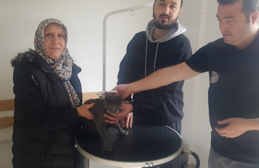 Kayıp kedi mikroçip sayesinde bulundu