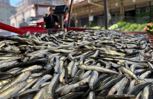 Hamsi tezgahlardaki son günlerini yaşıyor