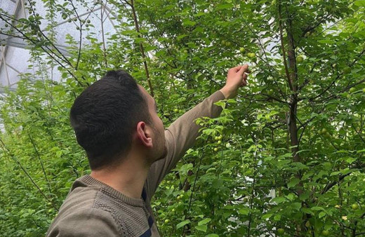 Fiyatı çeyrek altınla yarışıyor, Arap şeyhleri kilolarca sipariş veriyor! "Duyunca soluğu burada aldım"