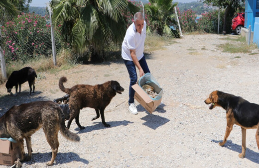 Adanalı kebapçı sokak hayvanlarını unutmuyor
