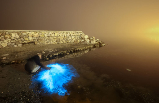 Planktonların çoğalmasıyla deniz suyu ışıl ışıl parladı!