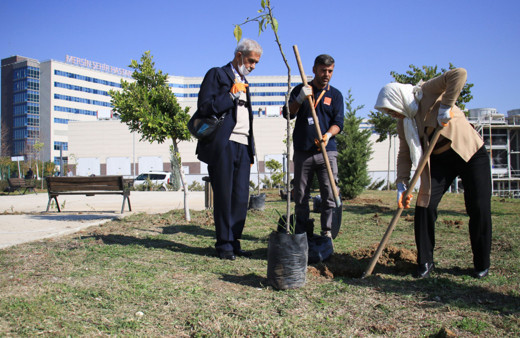 Yaşlılar tedavi gördükleri hastanenin bahçesine fidan dikti