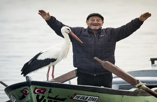 "Yaren" leylek göl manzaralı yuvasının bulunduğu Bursa'ya 13'üncü yılında da geldi