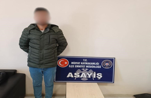 Mardin’de hırsızlık ve yağma şüphelisi 2 kişi tutuklandı