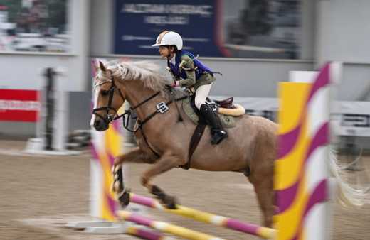 Eyüp Sabri Tuncer 2024 Pony Ligi, İstanbul'da başladı