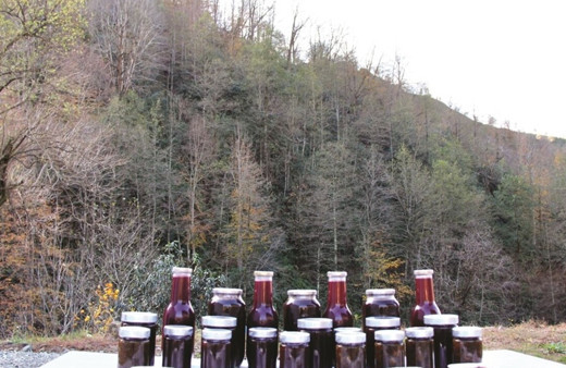 Aşıklar köyü ismini pekmezi ile duyuracak