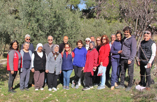 Almanlar ve İngilizler zeytin budamayı öğrendi
