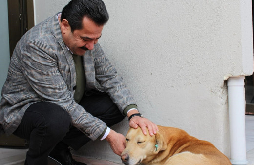 Pamukkale Adayı Ertemur, sokak hayvanları için 4 proje hazırladı