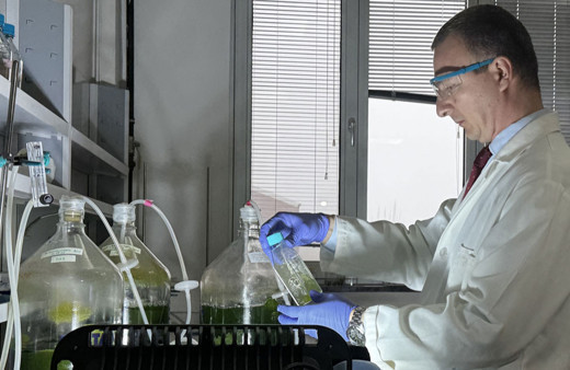 Alper Gezeravcı'nın uzayda yaptığı mikroalg deneyinden ilk sonuç alındı