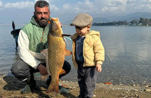 İznik Gölü'nde sazan bereketi! Kilosu 150 TL'den satıldı