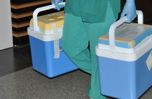 Beyin ölümü gerçekleşen hastanın organları 3 kişiye umut oldu