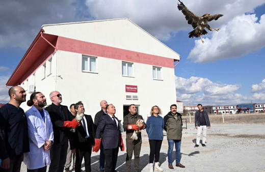 Tedavisi tamamlanan yırtıcı kuşlar doğaya salındı