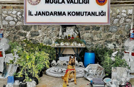 Marmaris’teki eve uyuşturucu baskını yapıldı