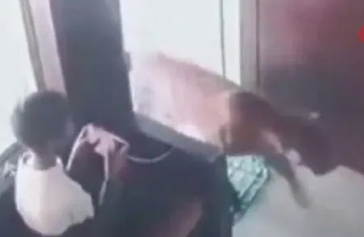 Telefonla oynarken ofise leopar girdiğini gören çocuk soğukkanlılıkla kaçmayı başardı