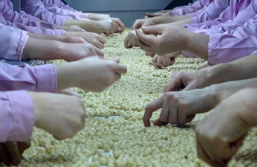 Düzce’den AB ülkelerine 2 bin 835 ton fındık ihraç edildi