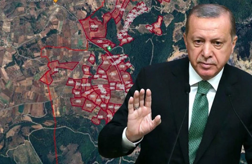 Erdoğan, Akbelen'deki arazileri kamulaştırma kararını iptal etti