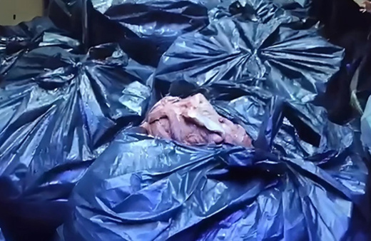 Durdurulan tırdan 700 kilo at ve eşek eti çıktı! Şüphelinin itirafı mide bulandırdı