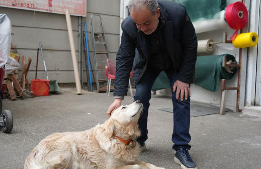 Köpeğin doktora havlaması sahibine 700 bin TL'ye patladı