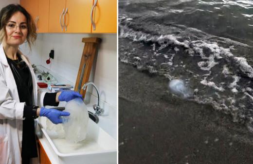 Denizlerde gizli tehlike: Temas ederse sağlık kuruluşuna gidin!