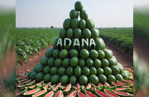 Adana karpuz üretiminde Türkiye’de birincisi oldu