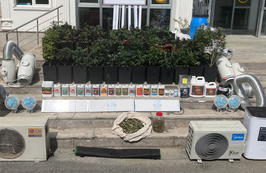 İklimlendirme sistemiyle kenevir yetiştirilen 3 daireye operasyon düzenlendi