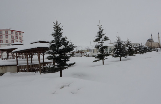 Bitlis’te kar yağışı: 4 köy yolu ulaşıma kapandı