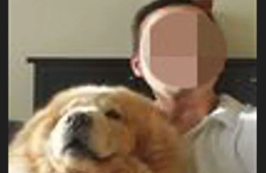 Cani ev sahibinin kira intikamı! Eve zorla girip...