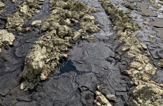 Ankara’da çevre felaketi: Atıklarını tarlaya bırakıyorlar!