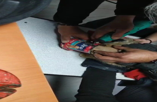 Kafasını mama kutusuna sıkıştıran kedinin yardımına itfaiye ekipleri yetişti