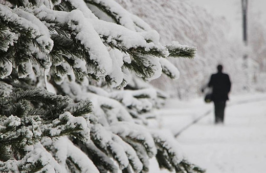 Bitlis'te olumsuz hava koşulları nedeniyle eğitime ara verildi