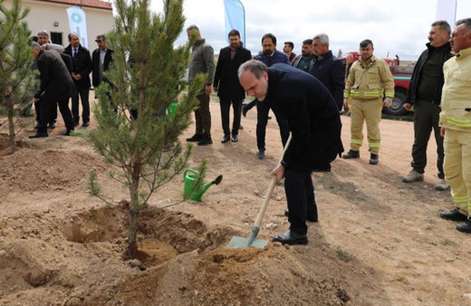 Niğde’de Bal Ormanı kuruluyor! 2. etap gerçekleştirildi
