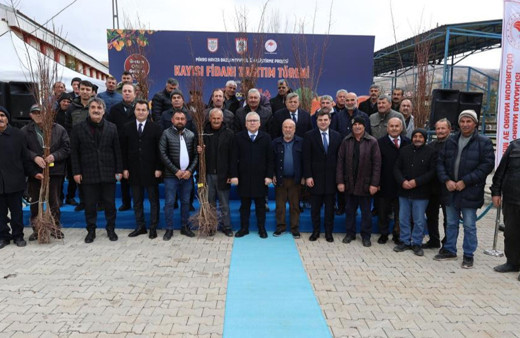 Sivas'ta çiftçilere 50 bin adet kayısı fidanı dağıtıldı