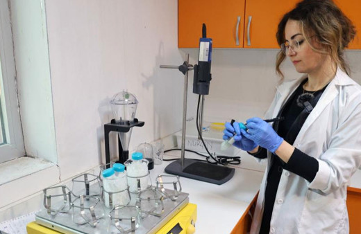 Denizanaları kanser için umut oldu!