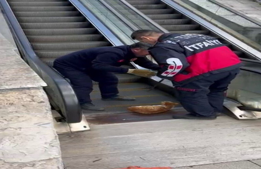 Ayağı yürüyen merdivene sıkışan kedi yardım bekledi