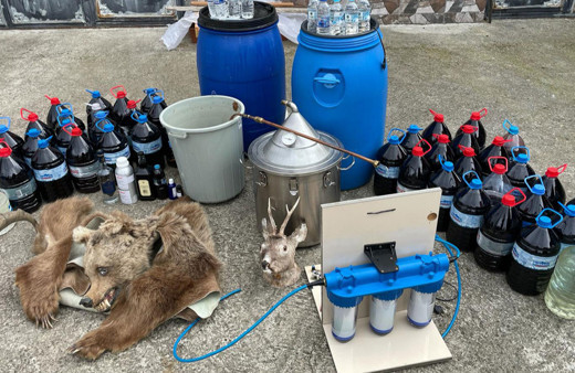 Ayı postu ve doldurulmuş karaca başı ve sahte içki!