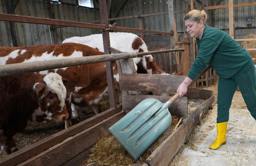 Şehir hayatından sıkılan kuaför, köye dönüp hayvancılığa başladı!