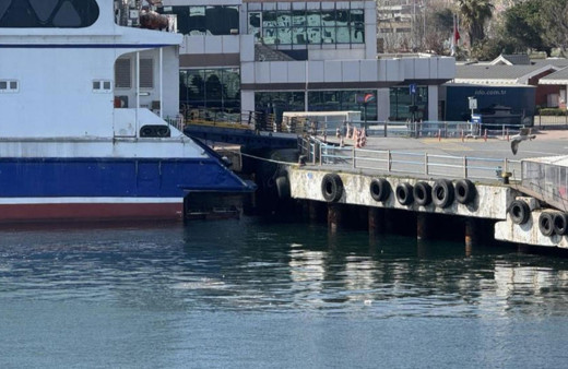 İstanbul sahillerinde çöp birikintisi!