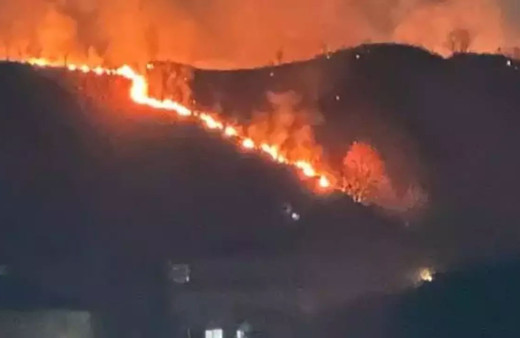 Trabzon'da orman yangını: Ekiplerin müdahalesi sürüyor