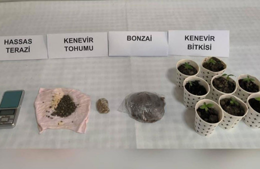 Karton bardakta ekili kenevir ele geçirildi!