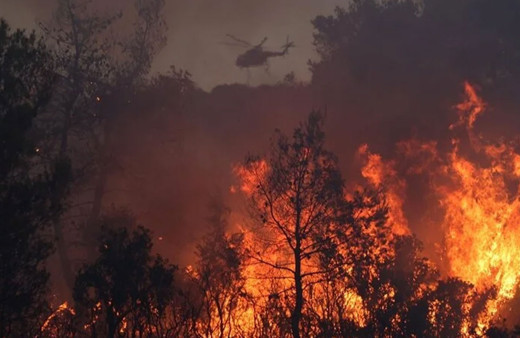 Yunanistan'da 31 Mart'ta başlayan orman yangını sürüyor