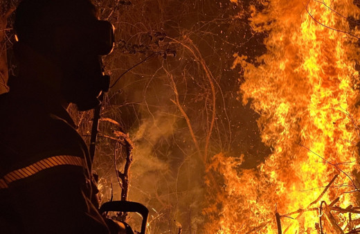 Düzce'de çıkan yangında yaklaşık 6 dönüm ormanlık alan zarar gördü