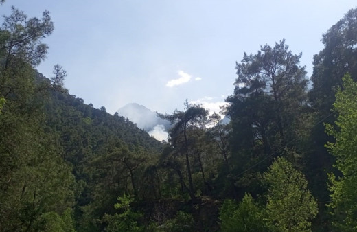Antalya'daki korkutan orman yangını kontrol altına alındı