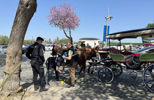 Faytoncular çatıştı: 2 kişi yaralandı!