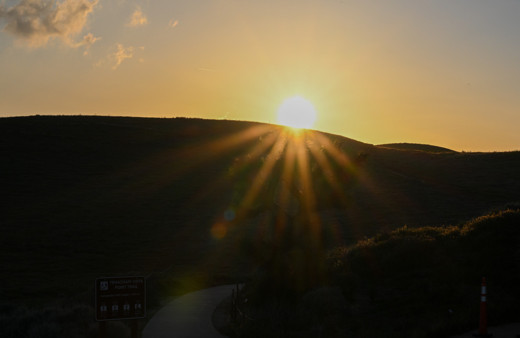 California'da bulunan Antelope Vadisi baharın gelişiyle canlandı